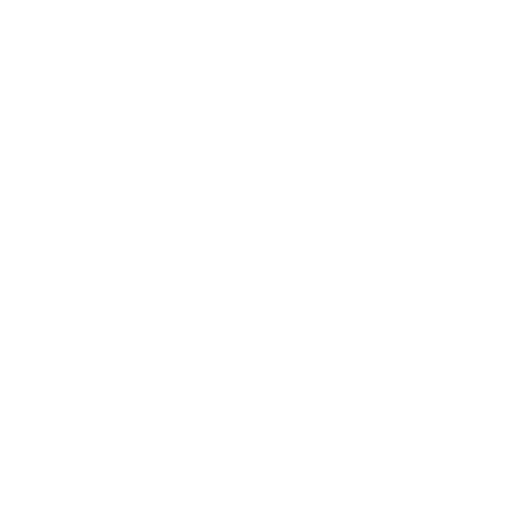 FlexCard 