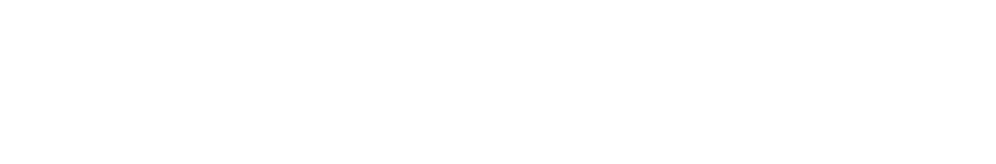 Dolphin{anty}